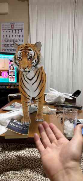 img_0693.jpg img_0693.jpg