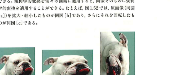 画像の再標本化の例